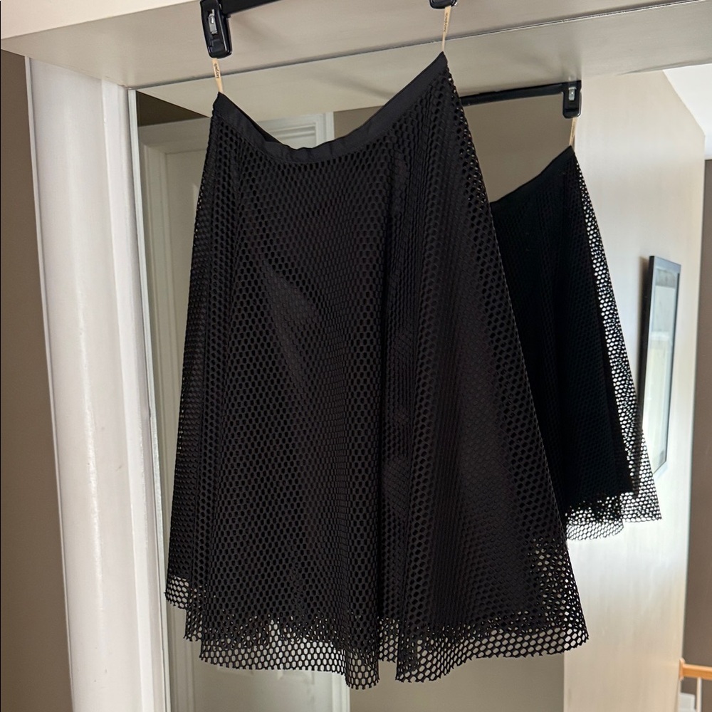 Lucy Paris Black A-Line Mesh Skirt